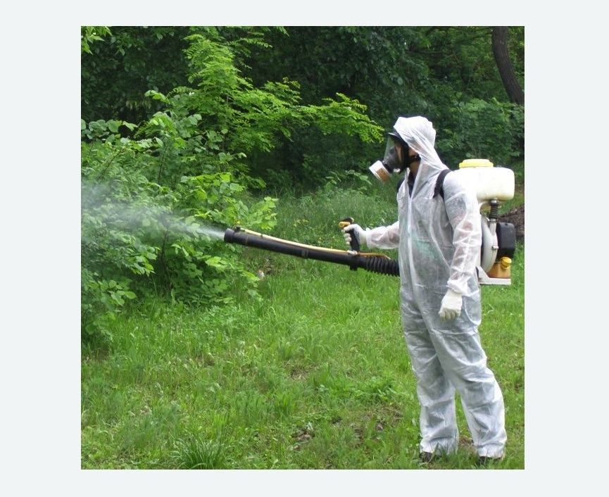 обработка территории от клещей в Дубровицах