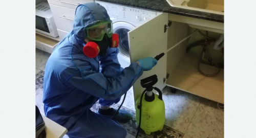 Уничтожение муравьев в квартире. Дубровицы