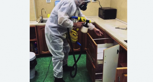 Уничтожение насекомых в квартире. Дубровицы