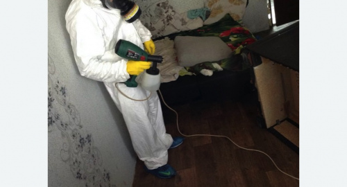 Обработка квартир от насекомых в Дубровицах