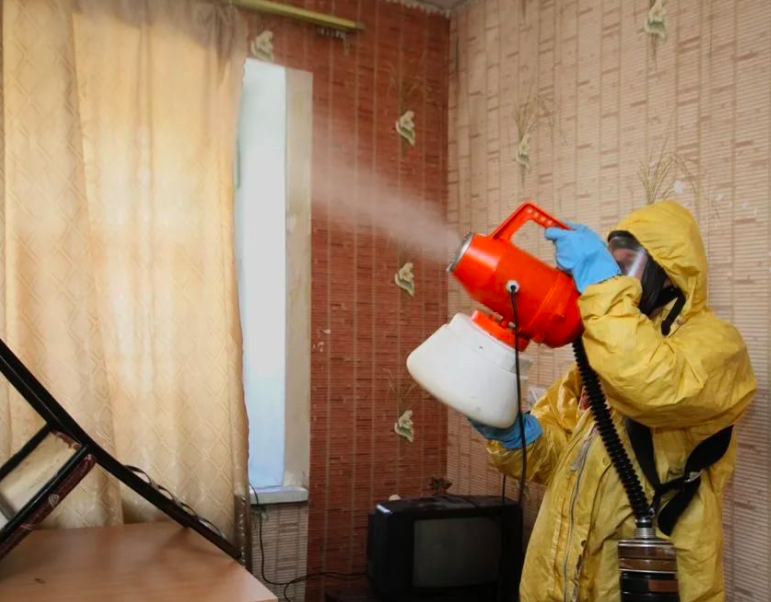 дезинфекция квартиры после смерти Дубровицы дезинфекция квартиры после смерти