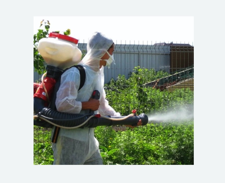 Акарицидная обработка территории в Дубровицах