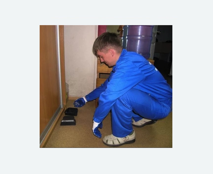 Дератизация крыс в Дубровицах