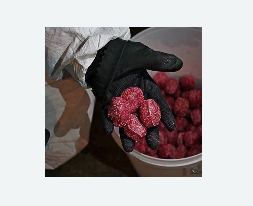 Обработка от крыс в Дубровицах