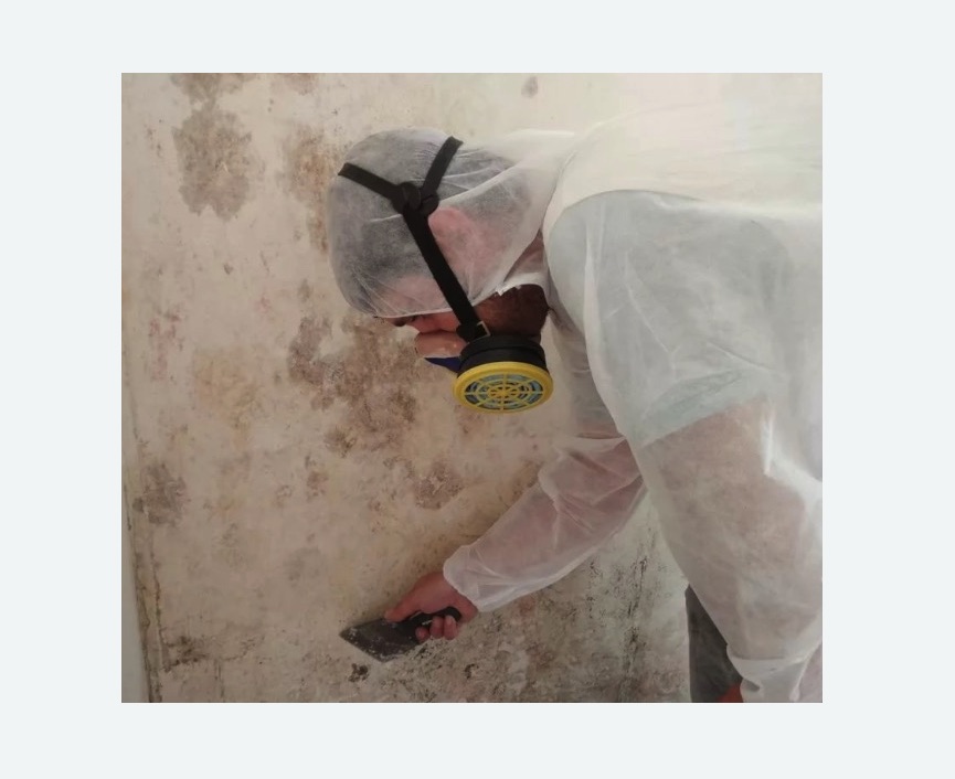Обработка стен от плесени в Дубровицах