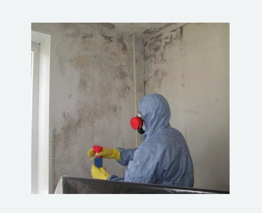 Удаление плесени в квартире в Дубровицах