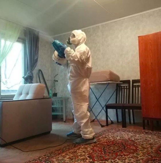 дезинсекция квартиры в Дубровицах