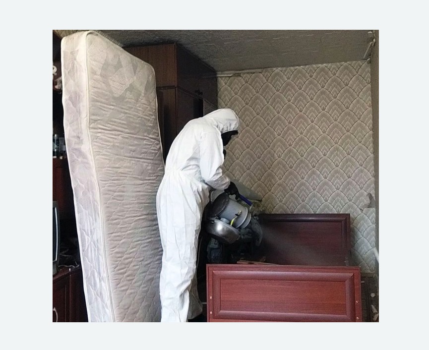 дезинфекция от клопов в Дубровицах