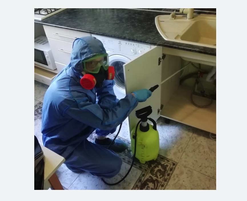 обработка от муравьев в квартире в Дубровицах