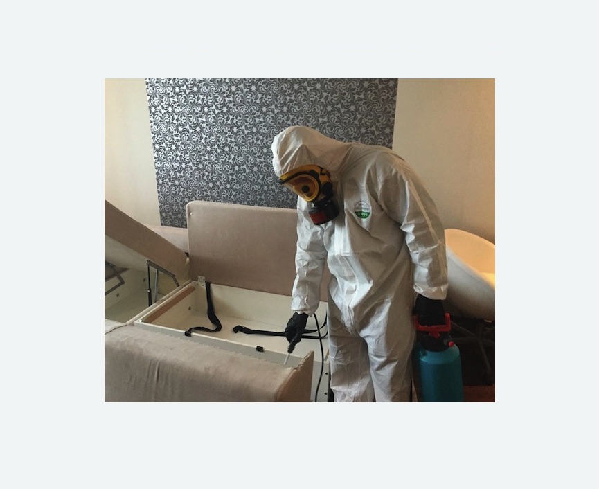 уничтожение клопов в квартире в Дубровицах