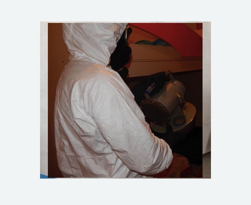 Дезинфекция от муравьев в Дубровицах