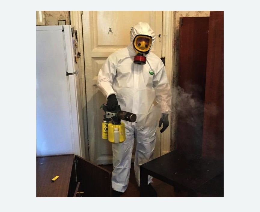 уничтожение муравьев в квартире в Дубровицах